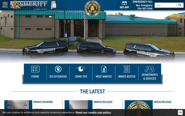 Screenshot of Elmore County Jail website