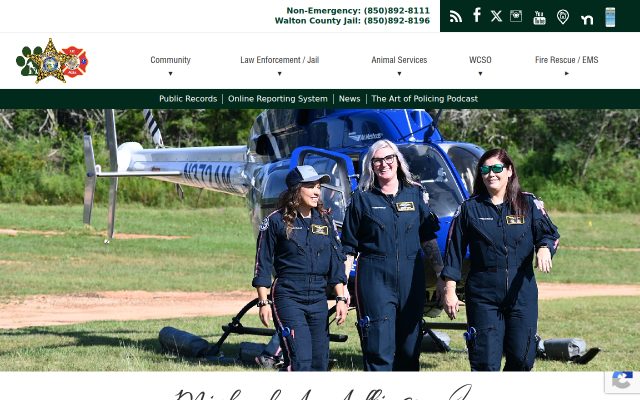 Screenshot of Walton County Jail website