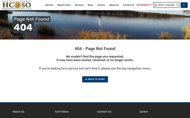 Screenshot of Harris County Jail website