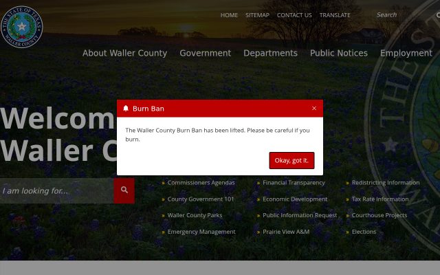 Screenshot of Waller County Jail website